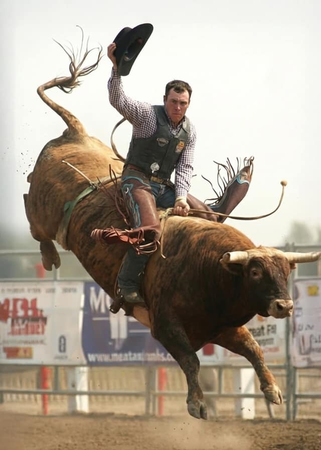 Bucking Bull Rodeo Rider