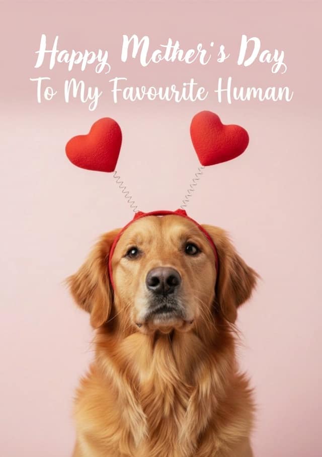 Mothers day retriever