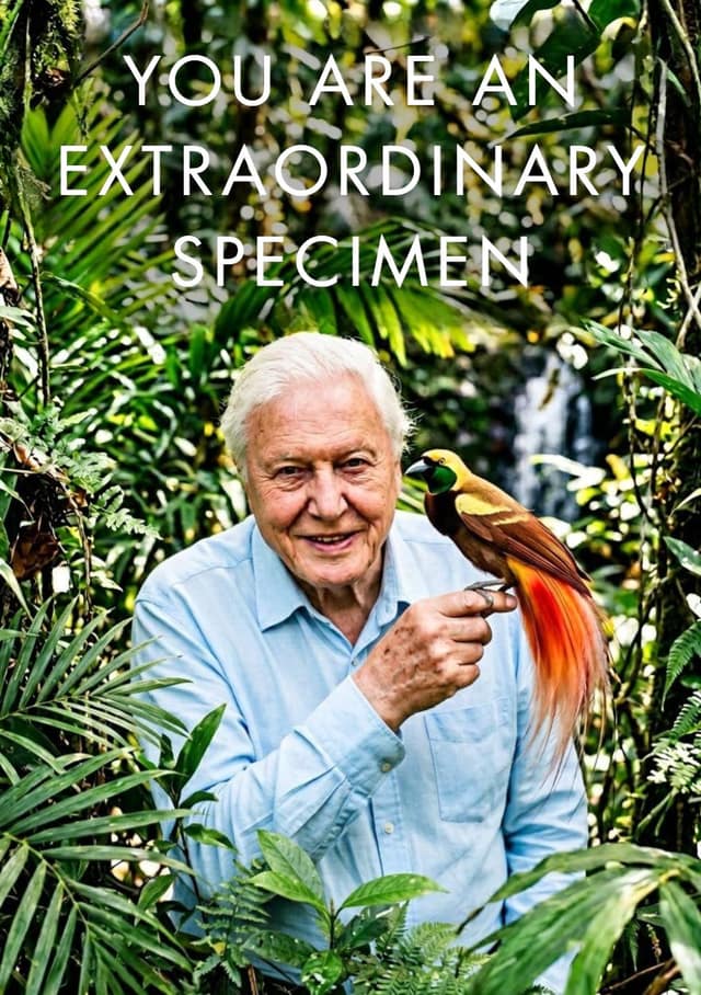 David Attenborough Jungle Naturalist