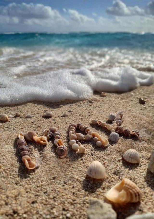 Seashell Name By The Sea