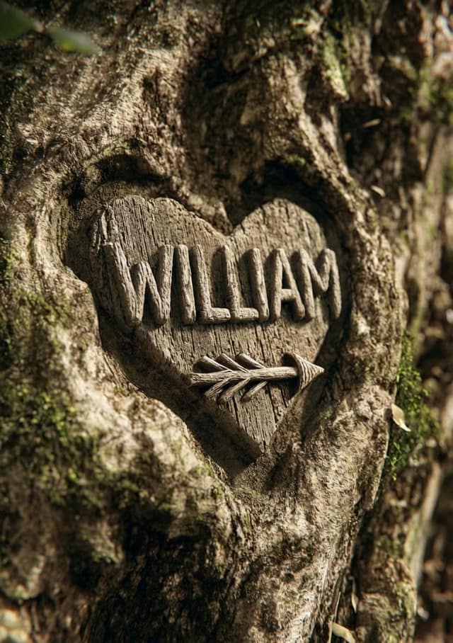 Carved Tree Heart Name
