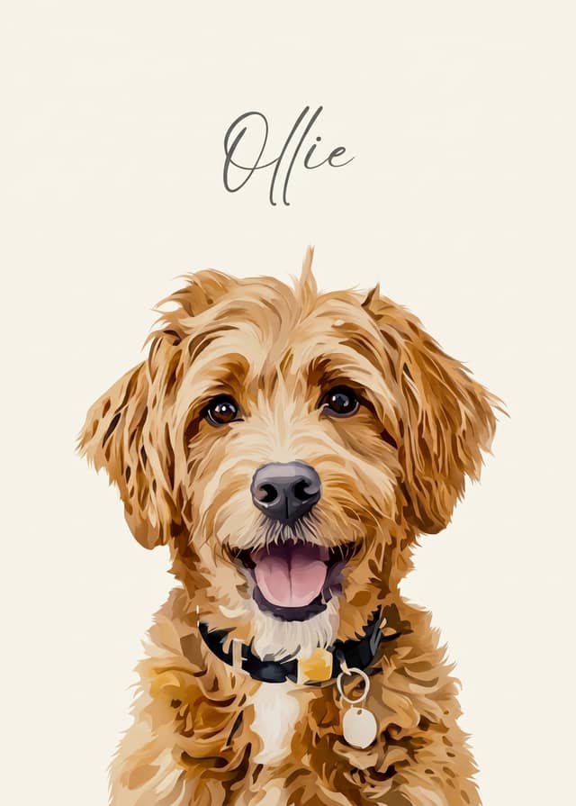 Custom Pet Name Illustration