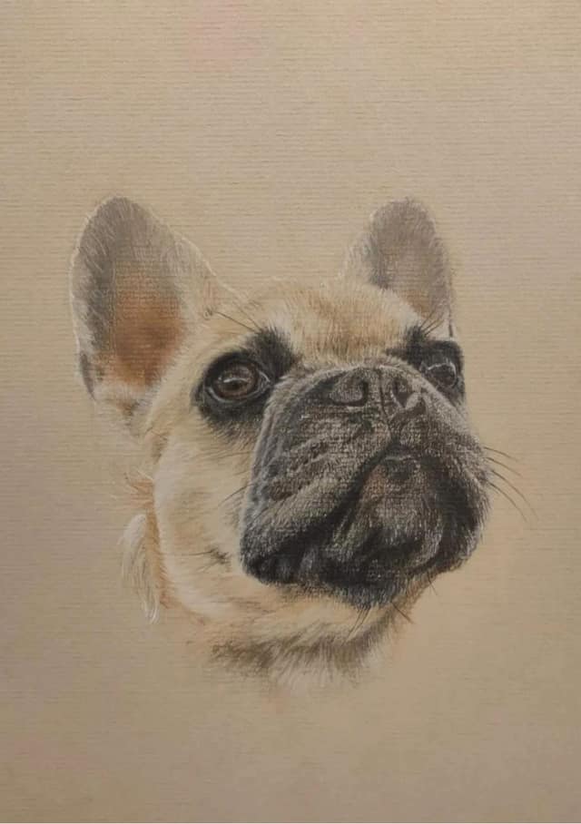 Pastel Pet Sketch