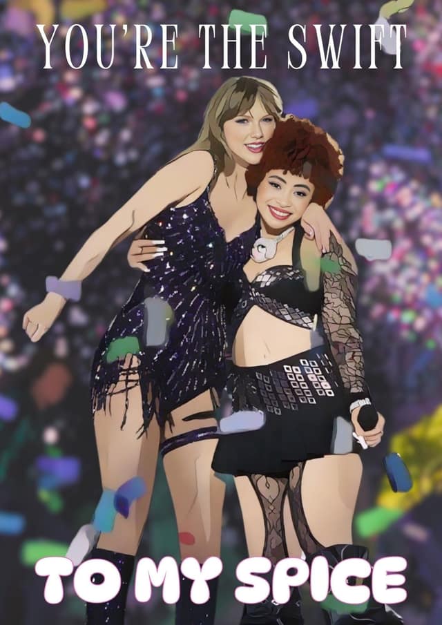 Taylor Swift Concert Cameo