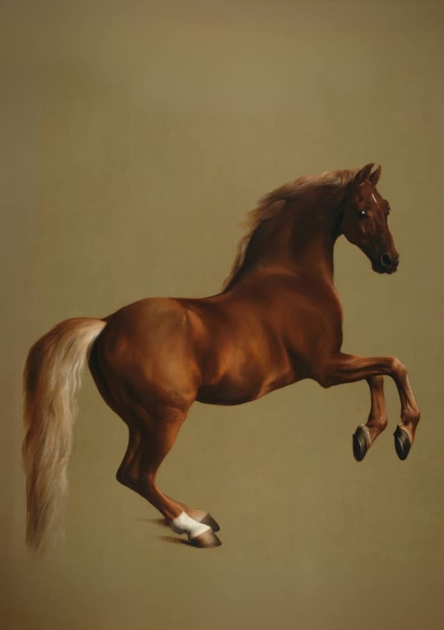Grand Stallion Pet Portrait