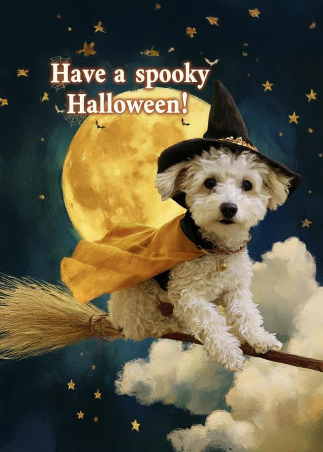 Moonlit Witch Pet Ride